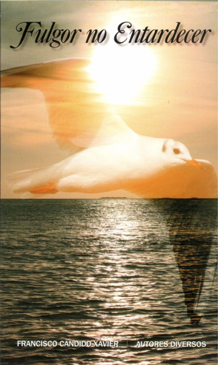 Fulgor no Entardecer