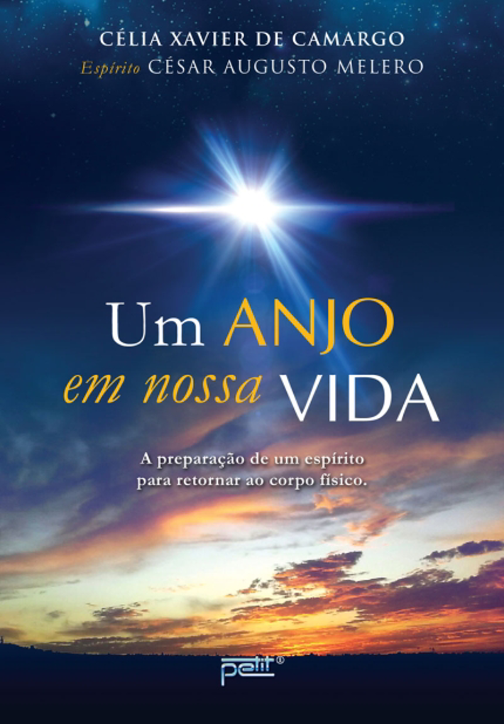 Um Anjo em Nossa Vida